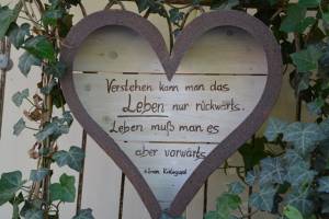 Gestuet Eulenthal Am 13.06 (32)