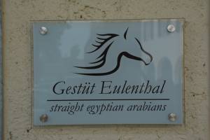 Gestuet Eulenthal Am 13.06 (15)