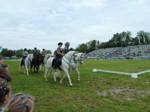 Pferd International 14.05 (11)