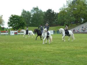 Pferd International 14.05 (12)