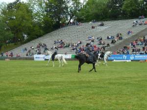 Pferd International 14.05 (13)
