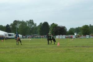 Pferd International 14.05 (25)