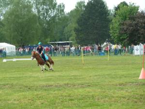 Pferd International 14.05 (26)