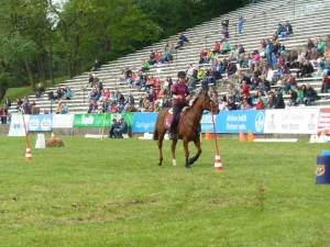 Pferd International 14.05 (28)