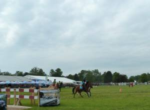 Pferd International 14.05 (29)