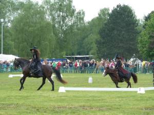 Pferd International 14.05 (33)