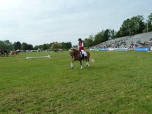 Pferd International 14.05 (37)