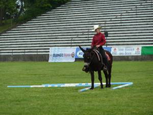 Pferd International 14.05 (3)