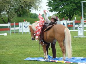 Pferd International 14.05 (5)