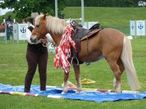 Pferd International 14.05 (6)