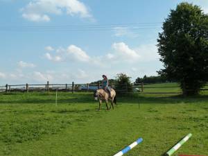 Horsemanship 03