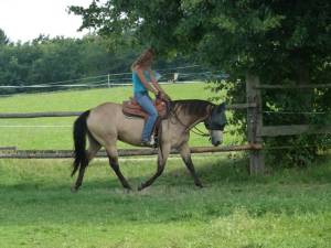 Horsemanship 04