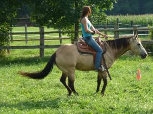 Horsemanship 08