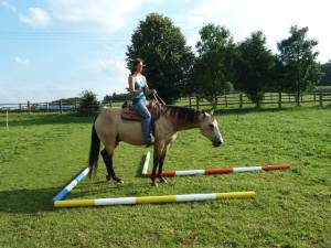 Horsemanship 10