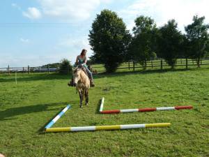 Horsemanship 11