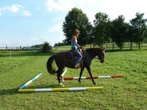 Horsemanship 12