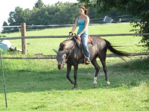 Horsemanship 13