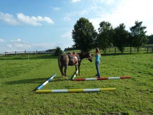 Horsemanship 14