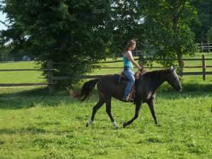 Horsemanship 16