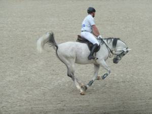 Marbach 08