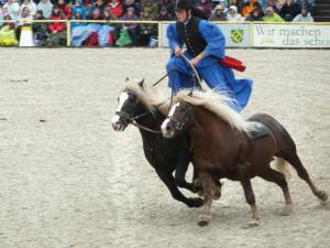Marbach 10