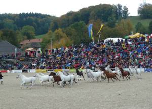Marbach 23