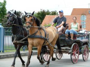 Marxheim 7 2012 10