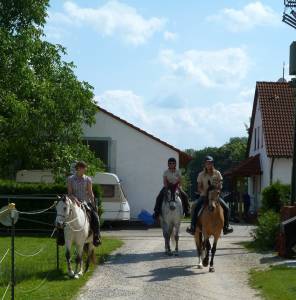 Marxheim 7 2012 16