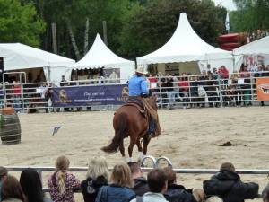 Pferd-International 29