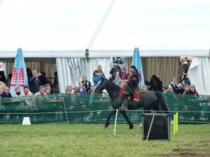 Pferdinter 5 2012 07