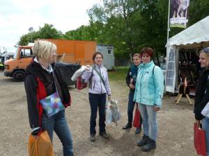 Pferdinter 5 2012 13