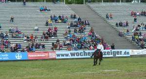 Pferdinter 5 2012 15