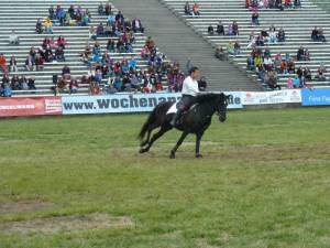 Pferdinter 5 2012 17