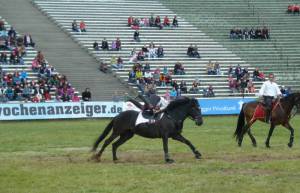 Pferdinter 5 2012 18