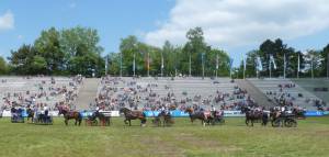 Pferdinter 5 2012 24