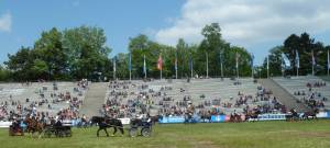 Pferdinter 5 2012 25