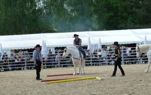 Pferdinter 5 2012 27