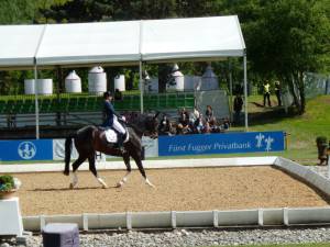 Pferdinter 5 2012 30