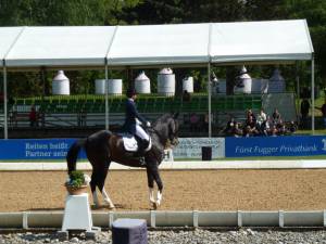 Pferdinter 5 2012 31