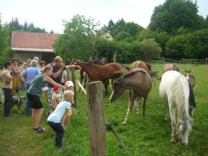Zeltlager 7 2012 02